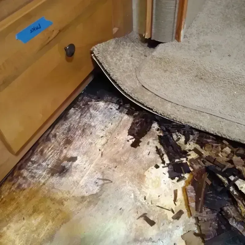 Wood Floor Water Damage in Cathcart, WA